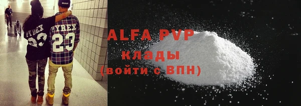 прущие грибы Баксан