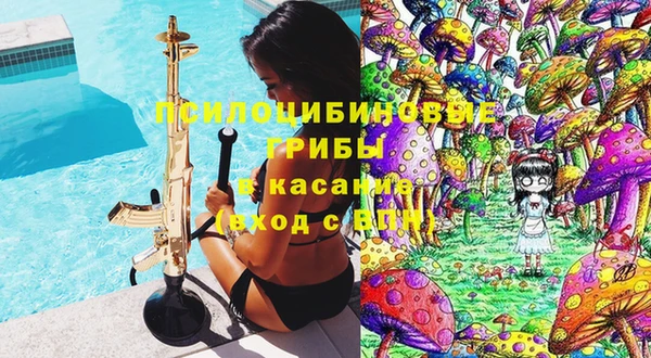 прущая мука Армянск