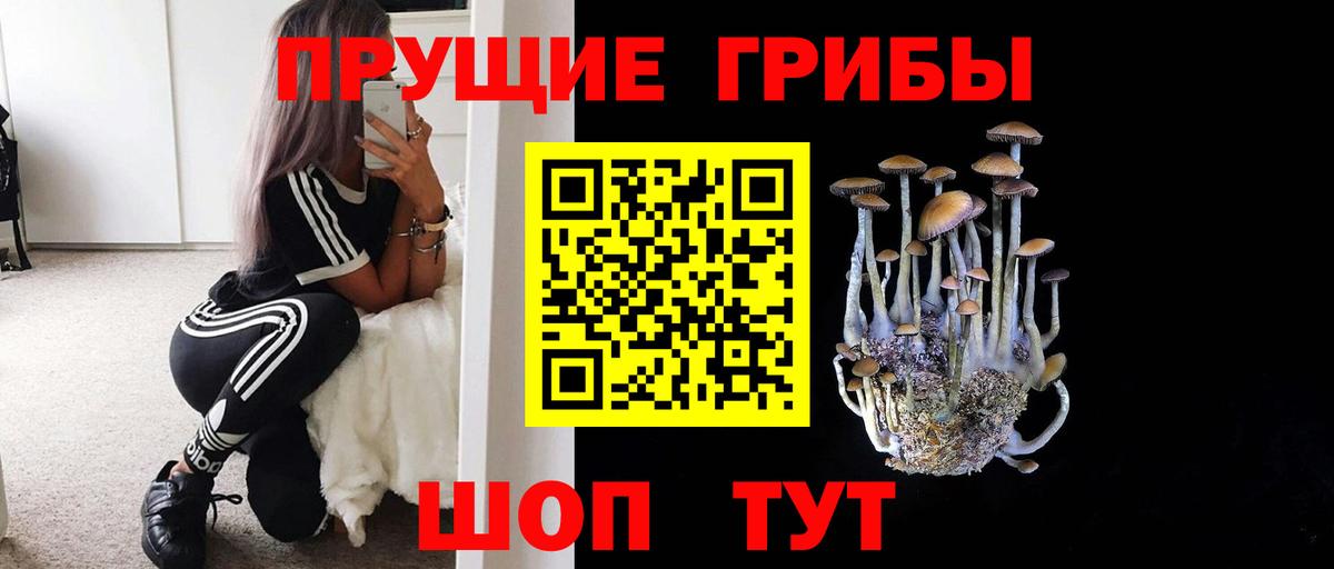 Псилоцибиновые грибы Magic Shrooms  Вход с VPN  Борисоглебск 
