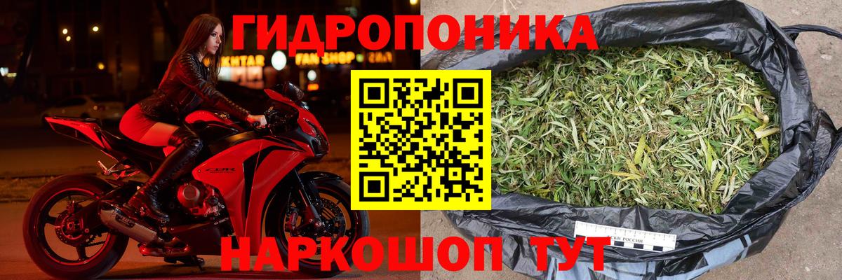 МАРИХУАНА сатива Борисоглебск